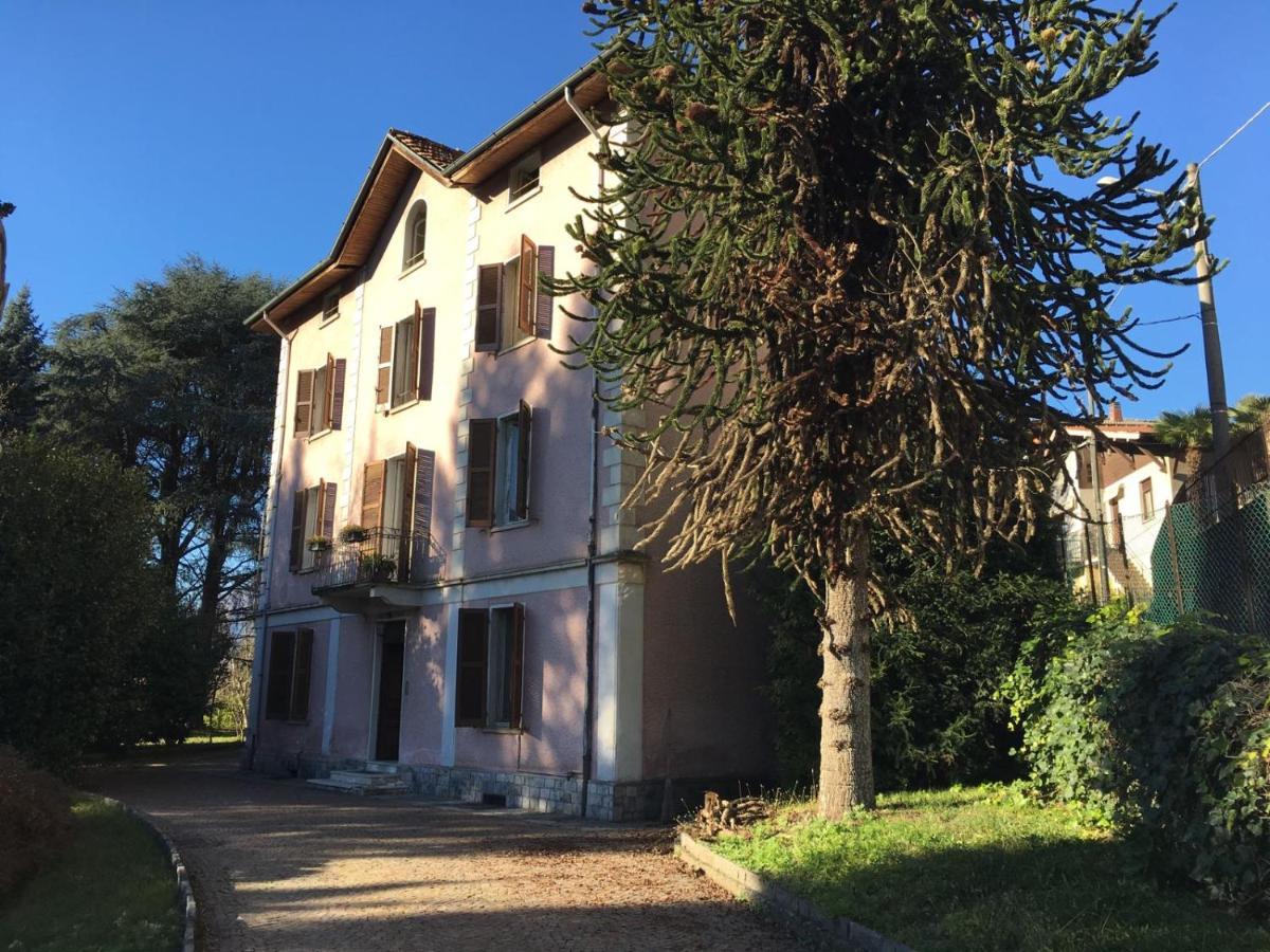 Villa Monica 勒威诺 外观 照片